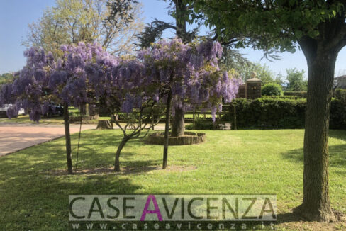 3440971_026__img_3861_wmk_0