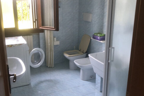 3440971_037__img_3902_wmk_0