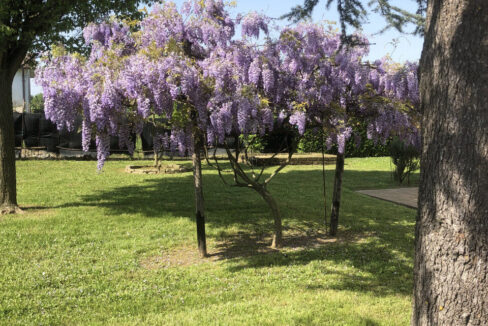 3440971_060__img_3864_wmk_0