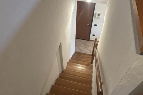 4639715_047__img_8935_wmk_0