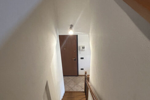 4639715_048__img_8936_wmk_0