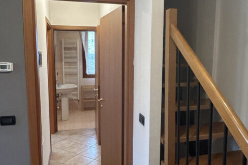 4639715_069__img_8955_wmk_0