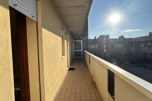 4646562_022__img_8053_wmk_0