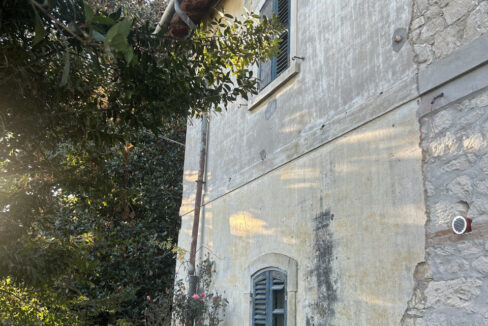 4801446_000__img_8296_wmk_0