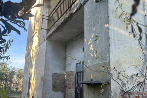 4801446_004__img_8300_wmk_0