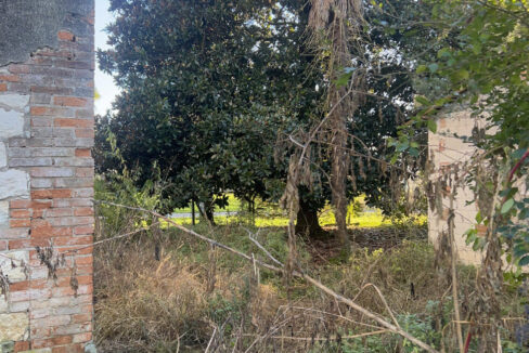 4801446_046__img_8343_wmk_0