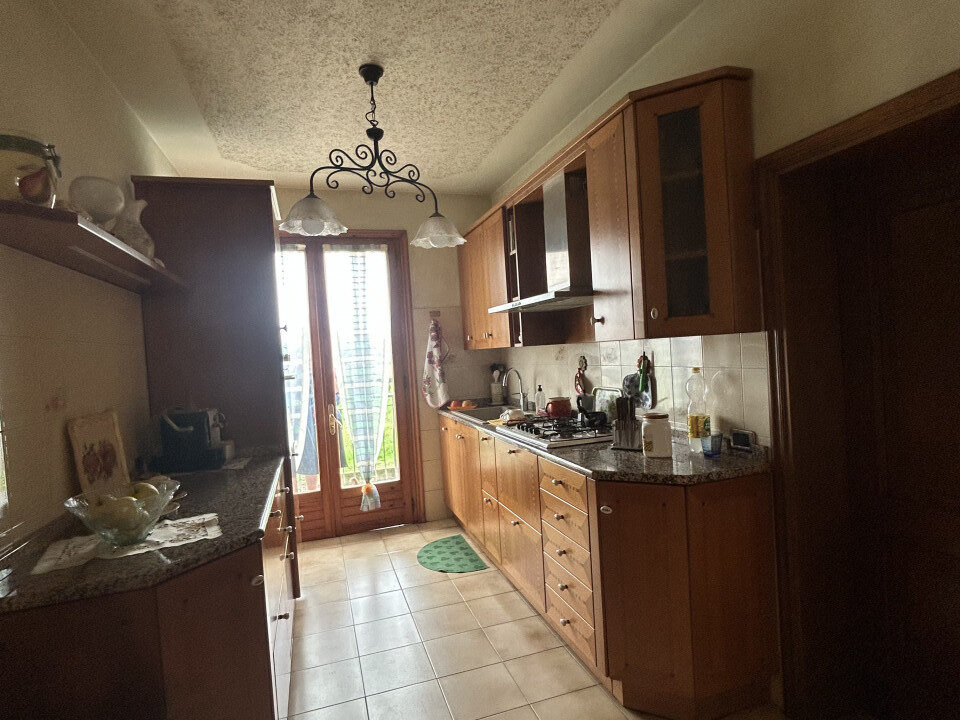 4831971_019__img_8131_wmk_0