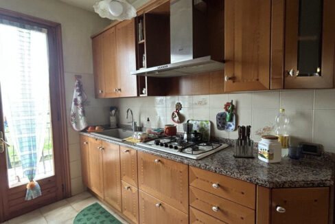 4831971_020__img_8132_wmk_0