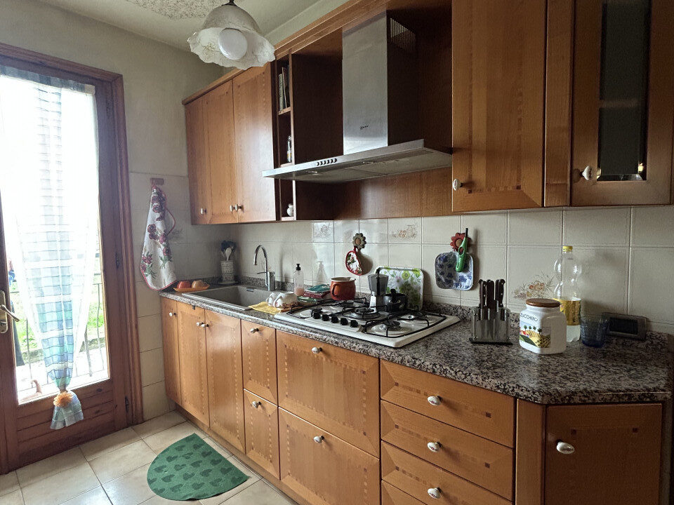 4831971_020__img_8132_wmk_0