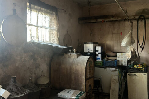 4836742_023__img_8709_wmk_0