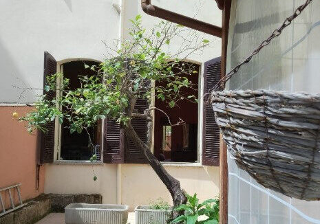 4859969_020__immagine_2026-02-25_150957_wmk_0