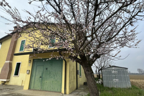 4896310_001__img_9208_wmk_0