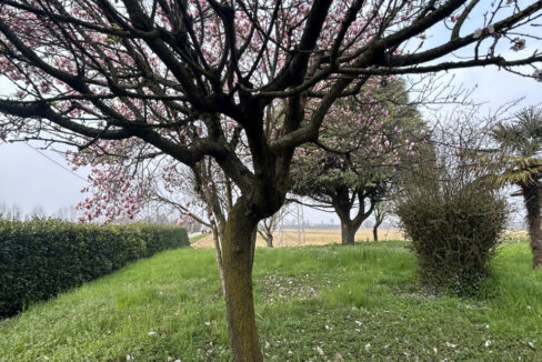 4896310_011__img_9214_wmk_0