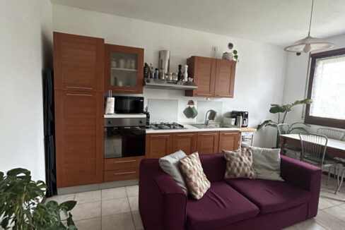 4901391_img_8879_wmk_0