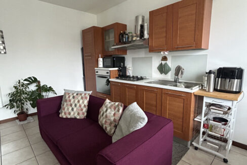 4901391_img_8883_wmk_0