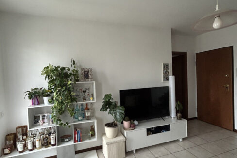 4901391_img_8887_wmk_0