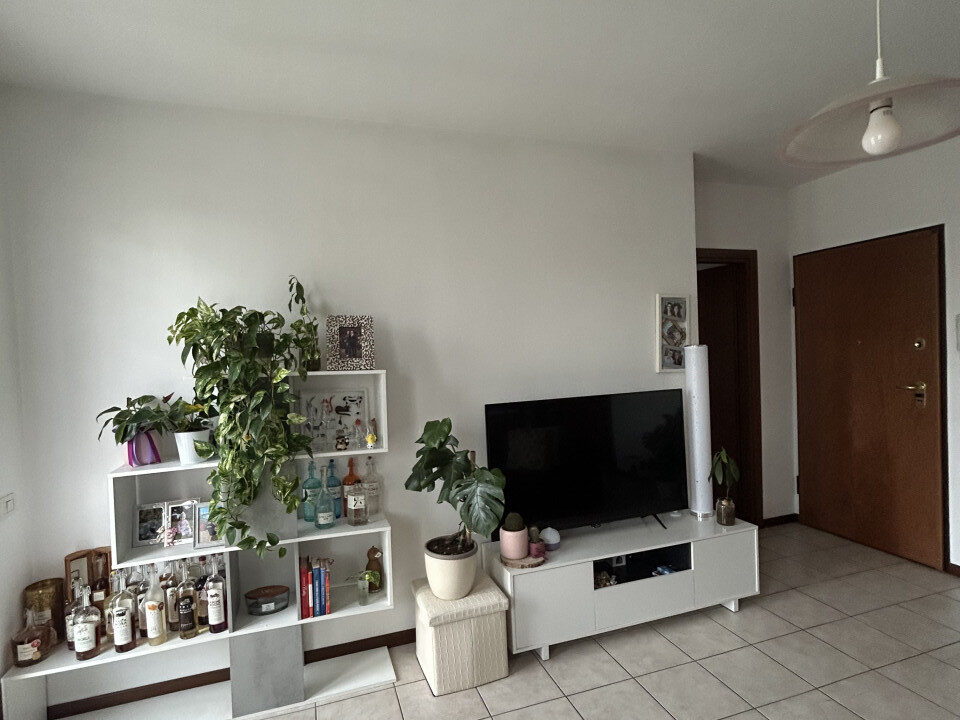 4901391_img_8887_wmk_0