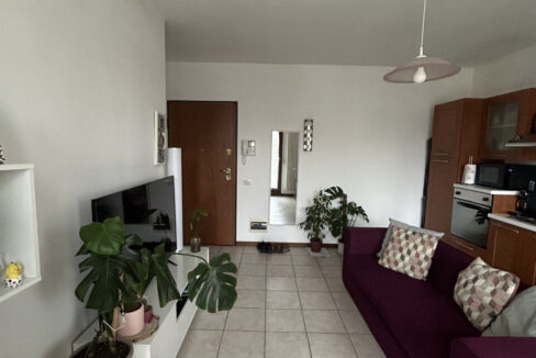 4901391_img_8888_wmk_0