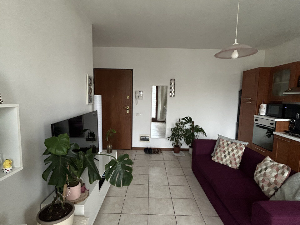 4901391_img_8888_wmk_0